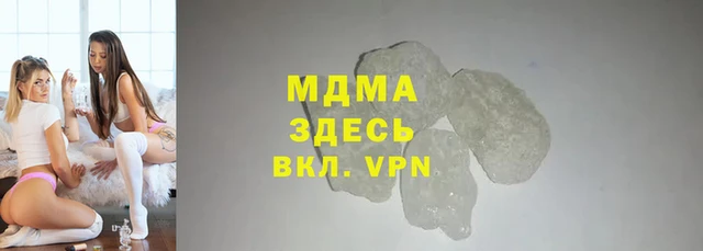 прущие грибы Вязьма