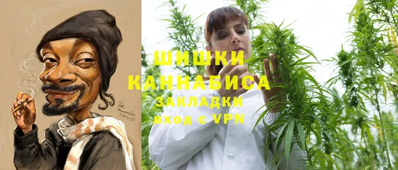 Бошки марихуана THC 21%  Киров 